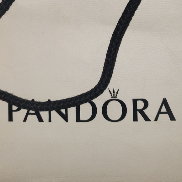 PANDORA GIFT BAG WITH RIBBON/TISSUE - Picture 3 of 6
